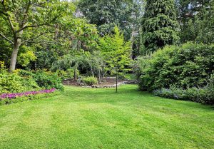 Optimiser l'expérience du jardin à Saint-Pourcain-sur-Besbre